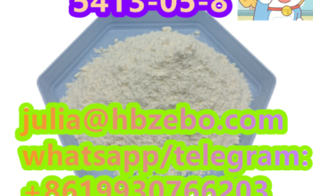 5413-05-8 BMK Ethyl 2-phenylacetoacetate With Sma