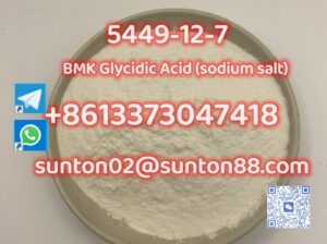 5449-12-7 BMK Glycidic Acid (sodium s