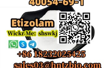40054-69-1 Etizolam