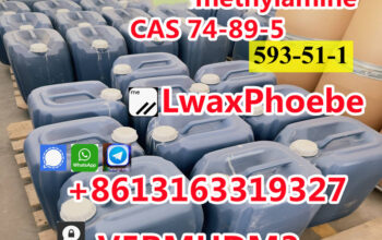 monomethylamine CAS 74-89-5/593-53-1 MMA