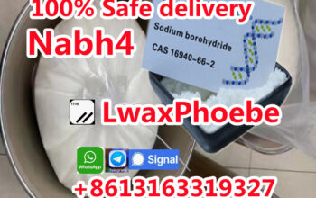 price for NaBH4 cas 16940-66-2 Sodium borohydride