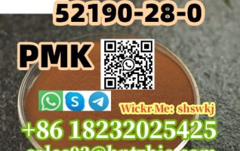 52190-28-0 PMK