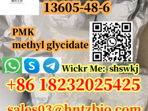 13605-48-6 PMK methyl glycidate