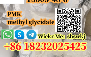 13605-48-6 PMK methyl glycidate