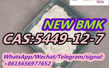 Factory Direct Sales Quality New BMK Glycine Powde