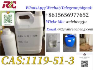 Factory Supply 5-Bromo-1-Pentene CAS No. 1119-51-3