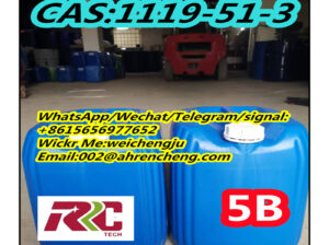 Factory Supply 5-Bromo-1-Pentene CAS No. 1119-51-3