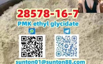28578-16-7 PMK ethyl glycidate