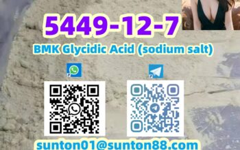 5449-12-7 BMK Glycidic Acid (sodium s