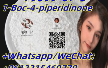 safe delivery 79099-07-3 1-Boc-4-piperidinone