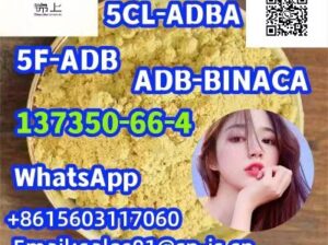  5CL CAS137350-66-4 ADBB/ADBA