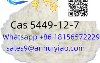 CAS 5449-12-7 BMK Glycidic Acid (sodium salt) bmk