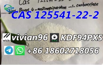 CAS 125541-22-2 with Safe Delivery to US/Canada