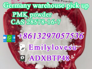 Holland Warehouse stock PMK ethyl glycidate PMK Po