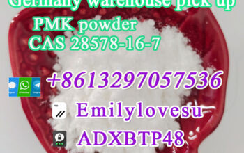 Holland Warehouse stock PMK ethyl glycidate PMK Po
