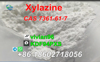 Xylazine CAS 7361-61-7 Hot in US/Mexico