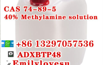 74-89-5 593-51-1Methylamine hcl Methylamine