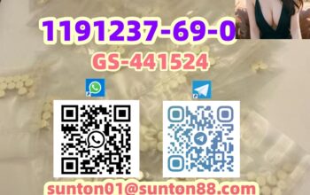 1191237-69-0 GS-441524