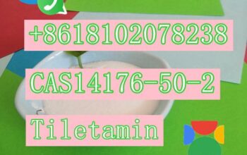 Tiletamine CAS14176-50-2 5