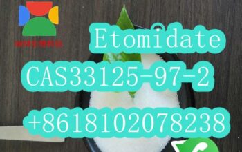 Etomidate CAS33125-97-2 13