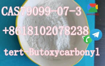 piperidone CAS79099-07-3 17