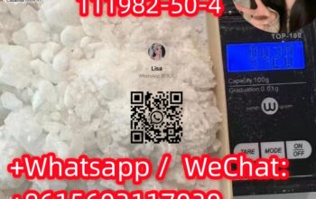 2FDCKCAS111982-50-4 high quality