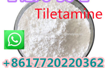Spot goods 14176-50-2 =Tiletamine