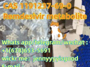 Cat Gs-441524 CAS 1191237-69-0 Remdesivir metaboli
