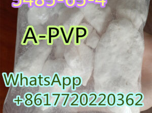 High quality 5485-65-4 =A-PVP