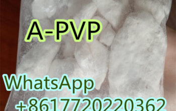 High quality 5485-65-4 =A-PVP