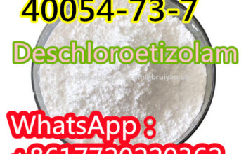 Spot goods 40054-73-7 =Deschloroetizolam