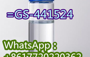 Spot goods 1191237-69-0 =GS-441524