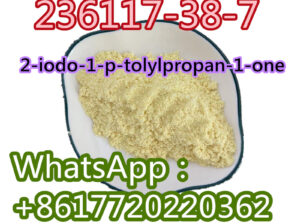 236117-38-7 =2-iodo-1-p-tolylpropan-1-one
