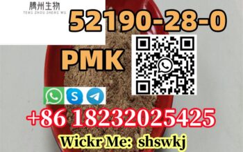 52190-28-0 PMK