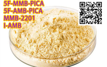 5F-AMB-PICA/I-AMB CAS 1616253-26-9 WhatsAppt+86 19