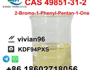 99% Purity CAS 49851-31-2 2-Bromo-1-Phenyl-Pentan-