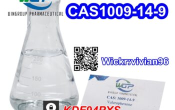Valerophenone CAS:1009-14-9 Moscow stock