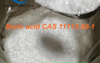 Hot Sale 99% Purity CAS: 11113-50-1 Boric Acid