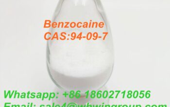 Anesthetic Powder Benzocaine CAS No. 94-09-7