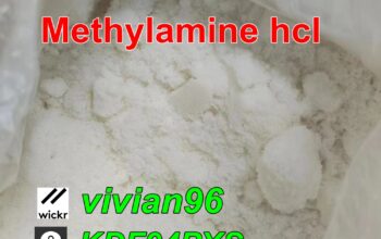 74-89-5 593-51-1Methylamine hcl Methylamine
