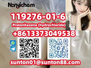 119276-01-6 Protonitazene (hydrochloride)