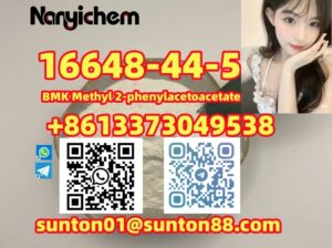 16648-44-5 BMK Methyl 2-phenylacetoacetate