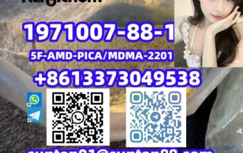 1971007-88-1 5F-AMD-PICA/MDMA-2201