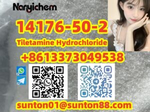 14176-50-2 Tiletamine Hydrochloride