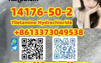 14176-50-2 Tiletamine Hydrochloride