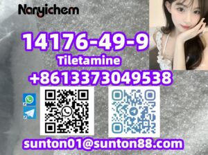 14176-49-9 Tiletamina 14176-49-9 Tiletamina