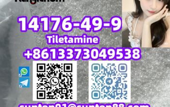 14176-49-9 Tiletamina 14176-49-9 Tiletamina