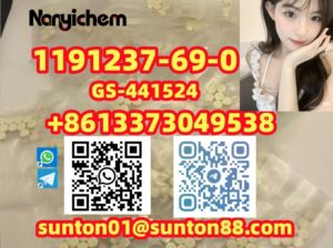 1191237-69-0 GS-441524