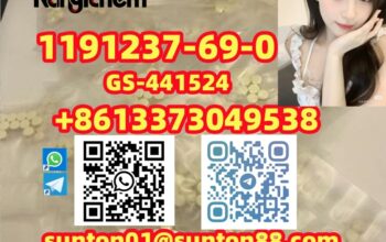 1191237-69-0 GS-441524