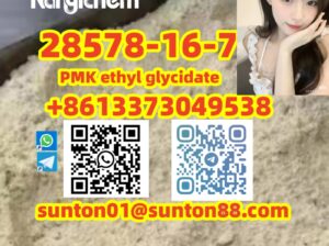28578-16-7 PMK ethyl glycidate